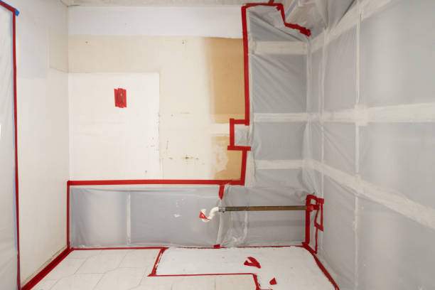 Professional Mold Removal in North Charleroi, PA